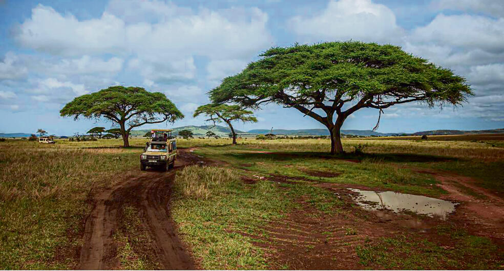 טריגרים בכל מקום.  גם בטיול ג'יפים