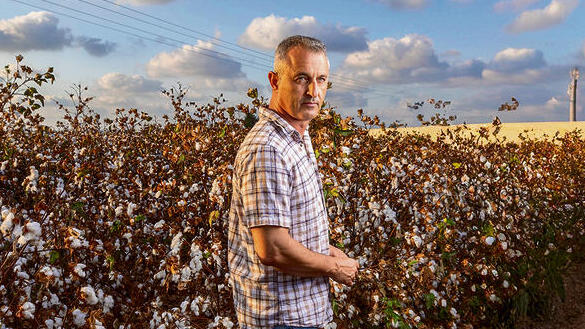 אשכול נבו | צילום: אביגיל עוזי