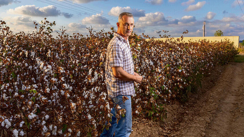 אשכול נבו | צילום: אביגיל עוזי (אביגיל עוזי) אשכול נבו | צילום: אביגיל עוזי