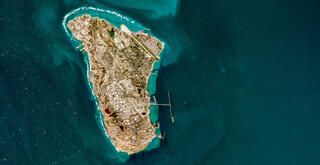 צילום: איי-אף-פי