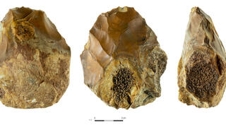 אבן יד משולבת בתפוח אליהו