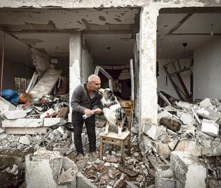 צילום: אלכס קולומויסקי