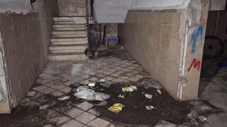 ביוב זורם וחרקים במקלט ביישוב הערבי: 