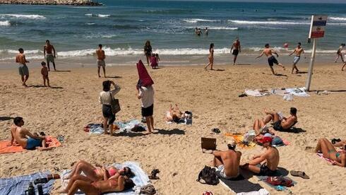 הפרופ' שעברה לישראל במאמר בארה