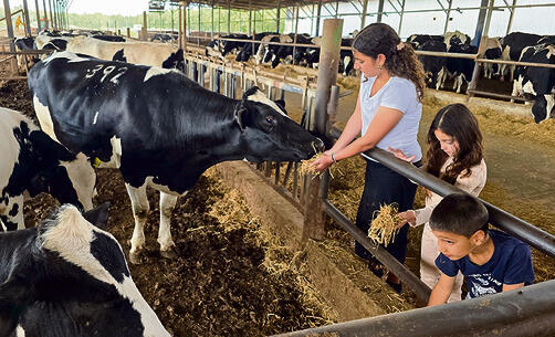 משק דוגמא משק דוגמא