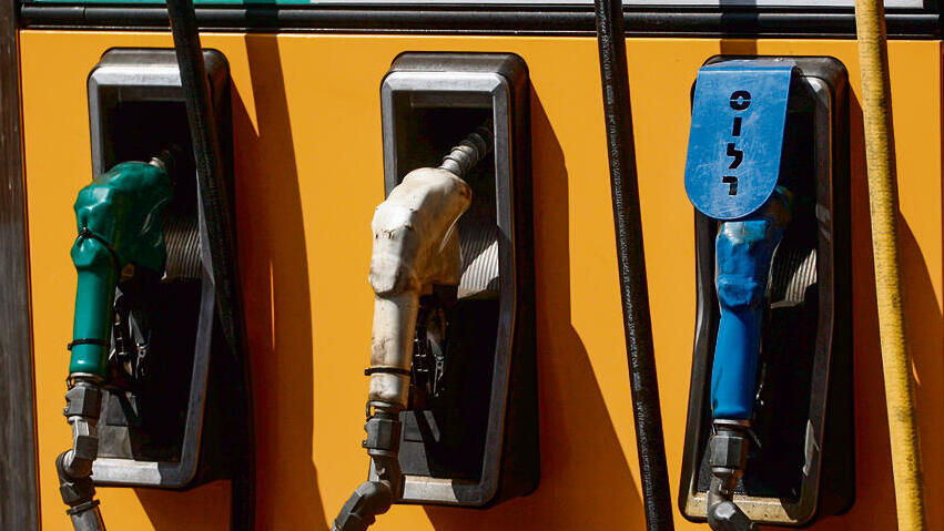 צילום: אוראל כהן