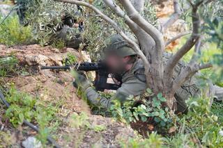 פעילות כוחות צה"ל בדרום לבנון