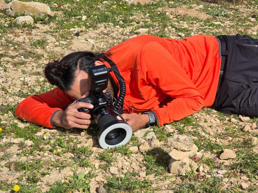 Ranger Shaked Bachbut (Photo: Courtesy) Ranger Shaked Bachbut