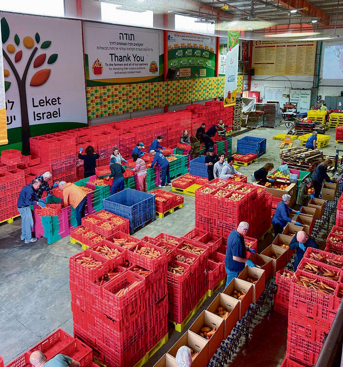 מתנדבים ממיינים את התוצרת ואורזים ארגזים במרכז הלוגיסטי | צילומים באדיבות "לקט ישראל"