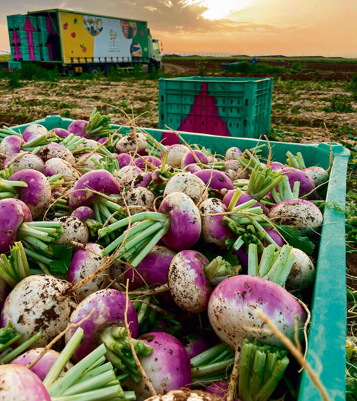 ארגז ירקות בדרך למרכז הלוגיסטי