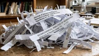 מאמרים גרוסים