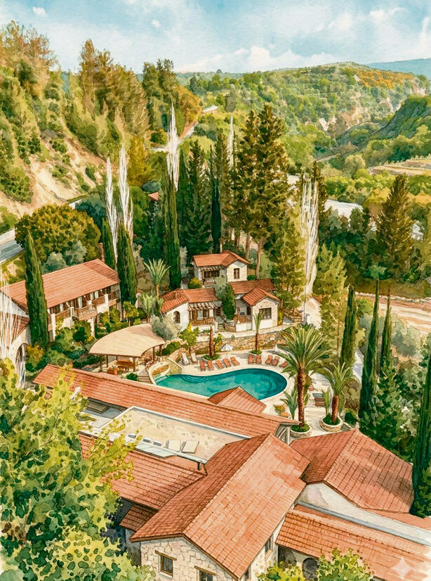 היער הסודי | צילום: ניר דוידזון