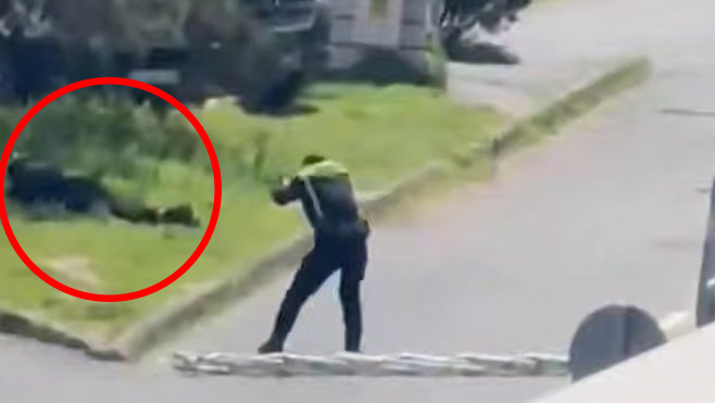 טורקיה: חוסל מחבל ונפצעו 2 בחילופי אש ליד הקונסוליה הישראלית באיסטנבול | תיעוד