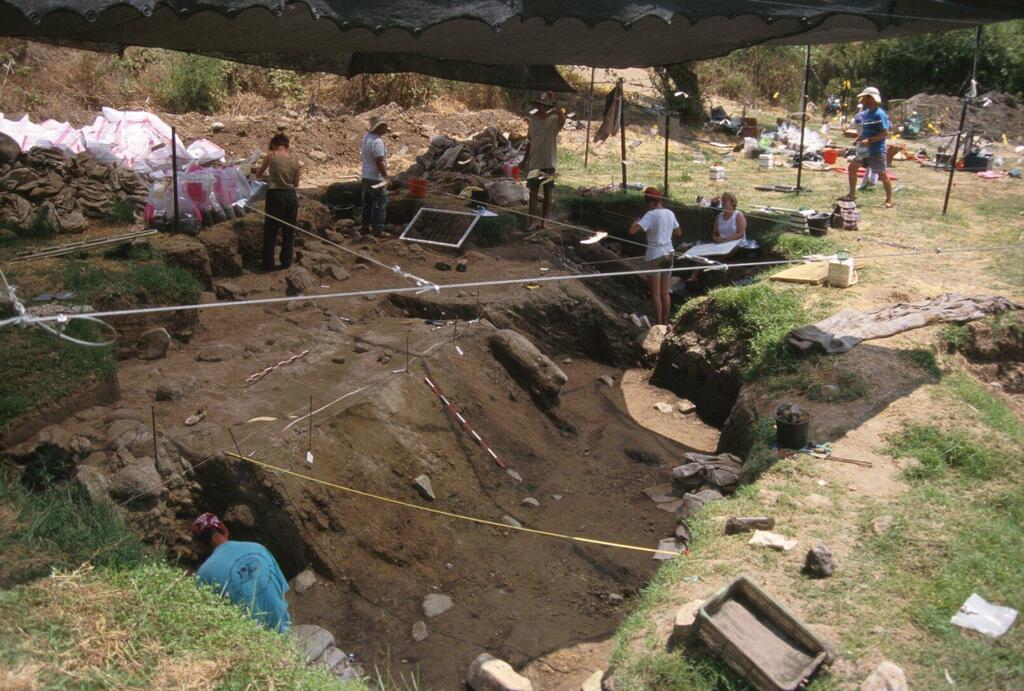 מלאכת החפירות באתר האשלי גשר בנות יעקב (צילום: GBY Expedition) מלאכת החפירות באתר האשלי גשר בנות יעקב