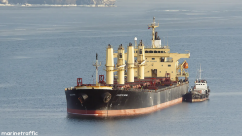 Ukraine raises alarm over Russian ship carrying ‘stolen’ grain to Haifa Port