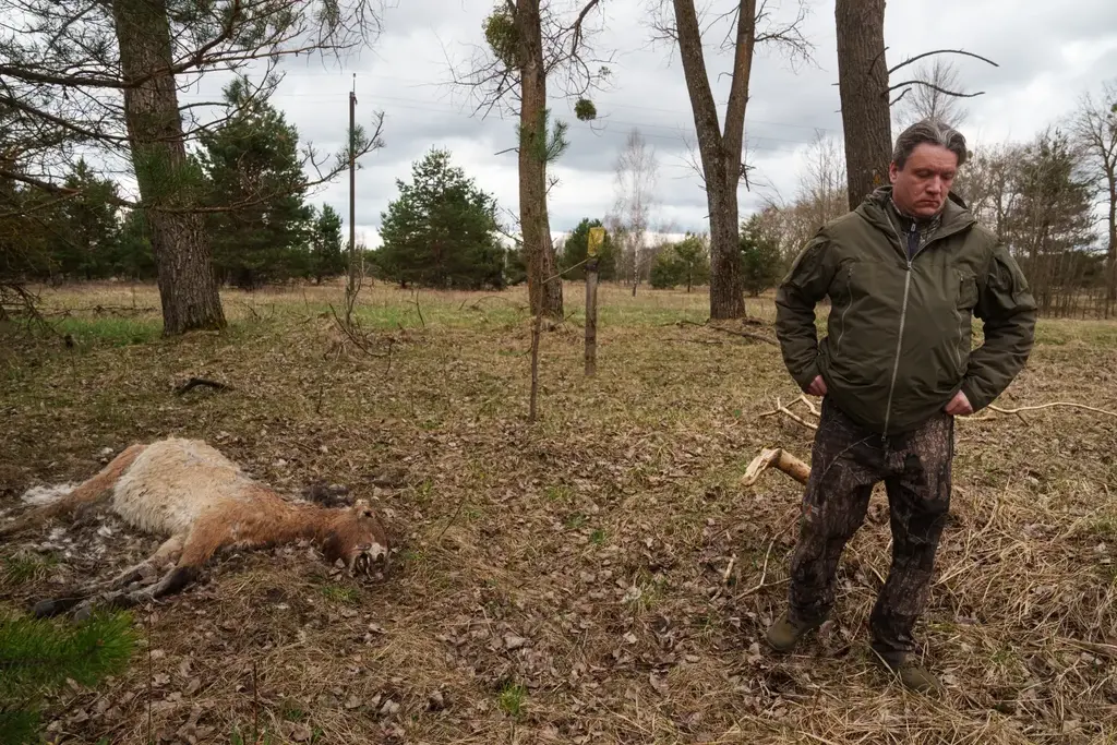 Chernobyl (Photo: AP\ Evgeniy Maloletka) Chernobyl