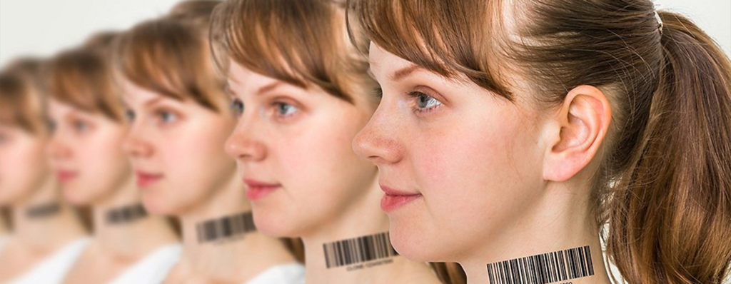שיבוט אילוסטרציה (צילום: shutterstock) שיבוט אילוסטרציה