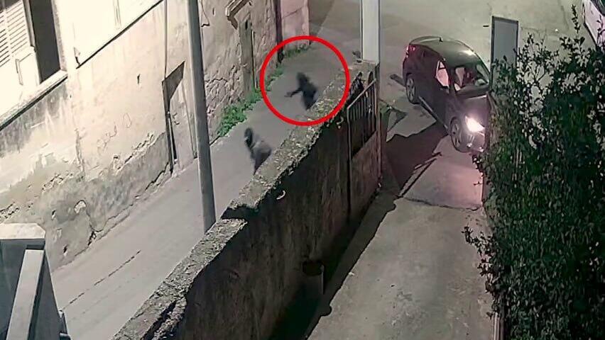 המתנקשים בעילוט (צילום: דוברות המשטרה) פענוח רצח המנוח זיד אמארה