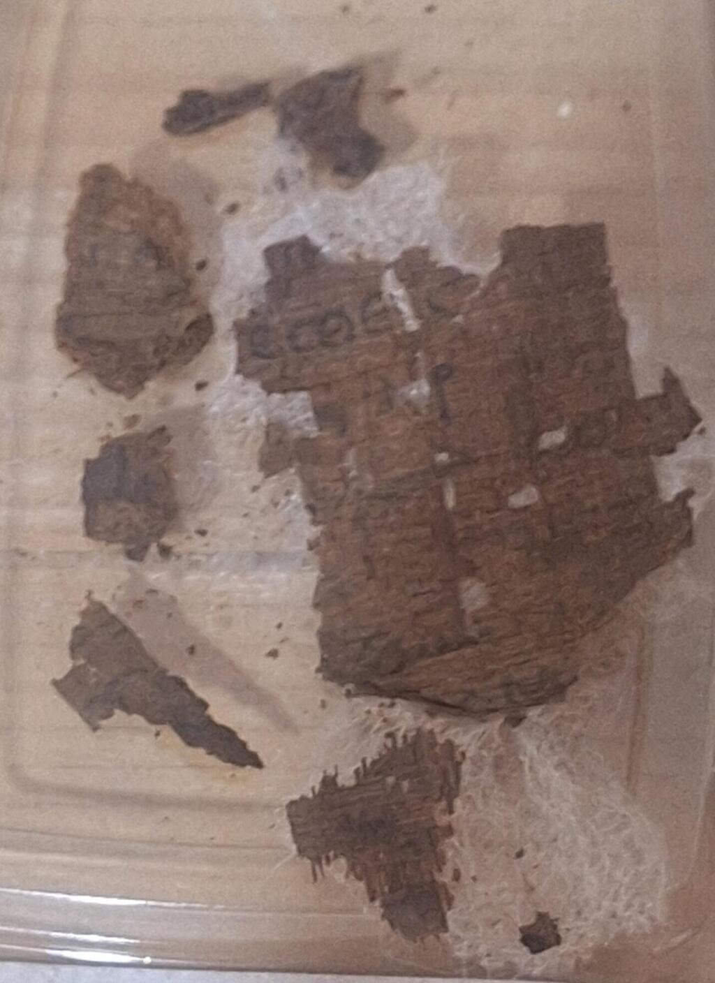 שרידי הפפירוס שהתגלו בבטן המומיה המצרית (צילום: Professor Ignasi-Xavier Adiego) שרידי הפפירוס שהתגלו בבטן המומיה המצרית