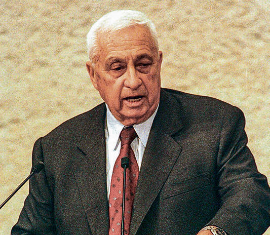 שרון. ישראל בכוחות עצמה | צילום: זום 77