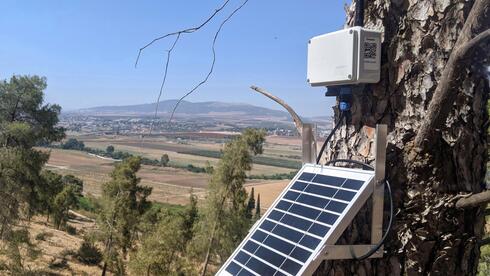 New technology aims to protect forests in Israel