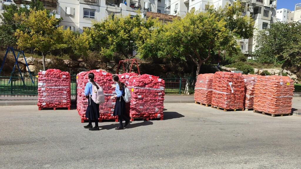 חלוקת מזון במודיעין עילית (צילום: אליעזר היון) חלוקת מזון במודיעין עילית