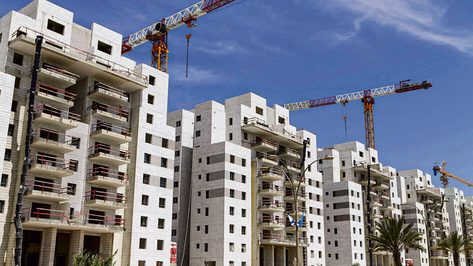צילום: עמית שעל