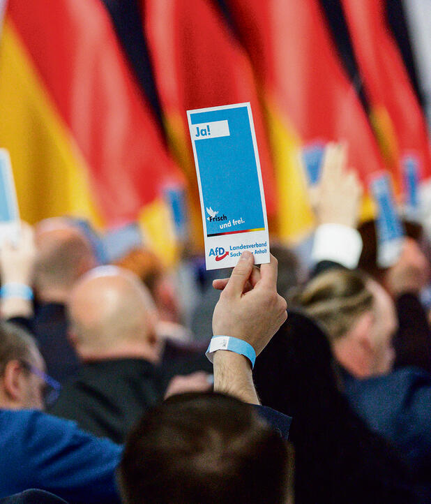 מציאות אלטרנטיבית. פתק הבחירות של ה־  AFD