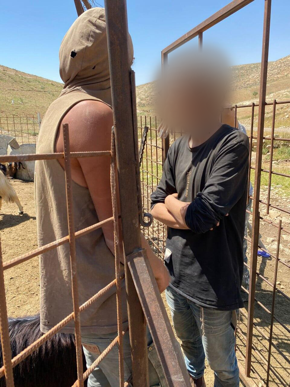 עימותים ב אזורים מסאפר יטא בדרום הר חברון בין פלטינים ו מתנחלים בשל בגלל ניסיון נסיונות גניבת עדרי צאן