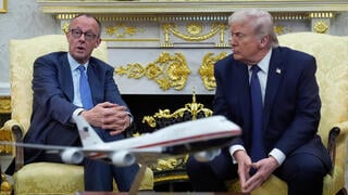 President Donald Trump meets with German Chancellor Friedrich Merz in the Oval Office at the White House earlier this month