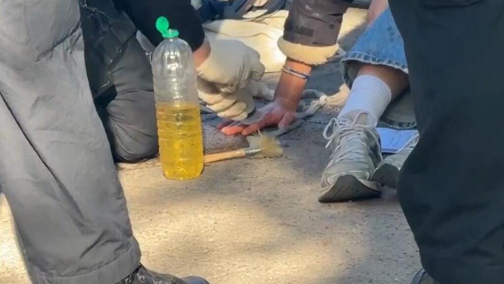 פעילות המשטרה נגד המוחים, ברלין (צילום: ספוטניק) פעילים פרו פלסטינים חסמו מפעל נשק בברלין במחאה על אספקת אמצעי לחימה לישראל
