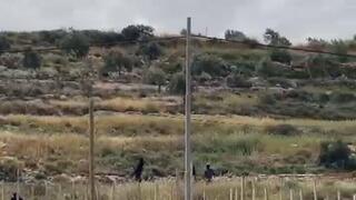 מתנחלים נעצרו בחשד לתקיפת פלסטינים בשכם, עימותים גם בחברון: 
