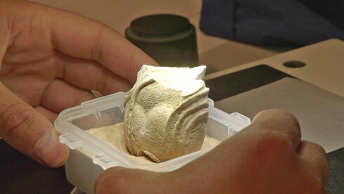 Boy finds ancient Roman treasure on show-and-tell hunt in southern Israel