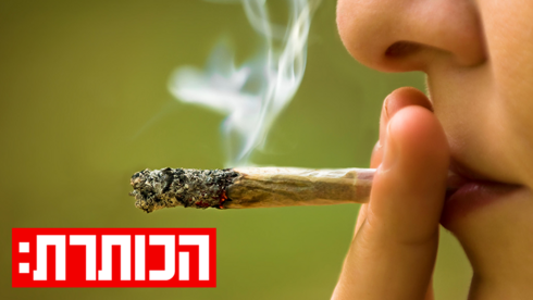 הקנאביס הרפואי בישראל: תרופה חיונית או ישראבלוף מסוכן?
