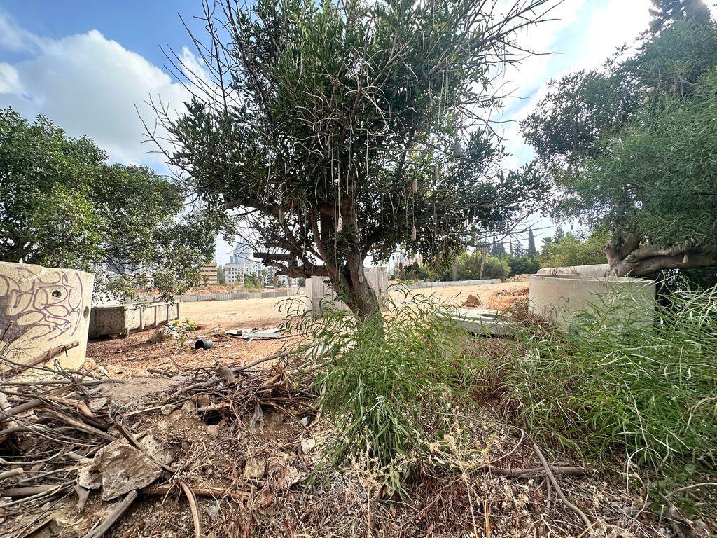 כך נראה כעת שטח חלק ממתחם תעשיה צבאית השלום בתל אביב