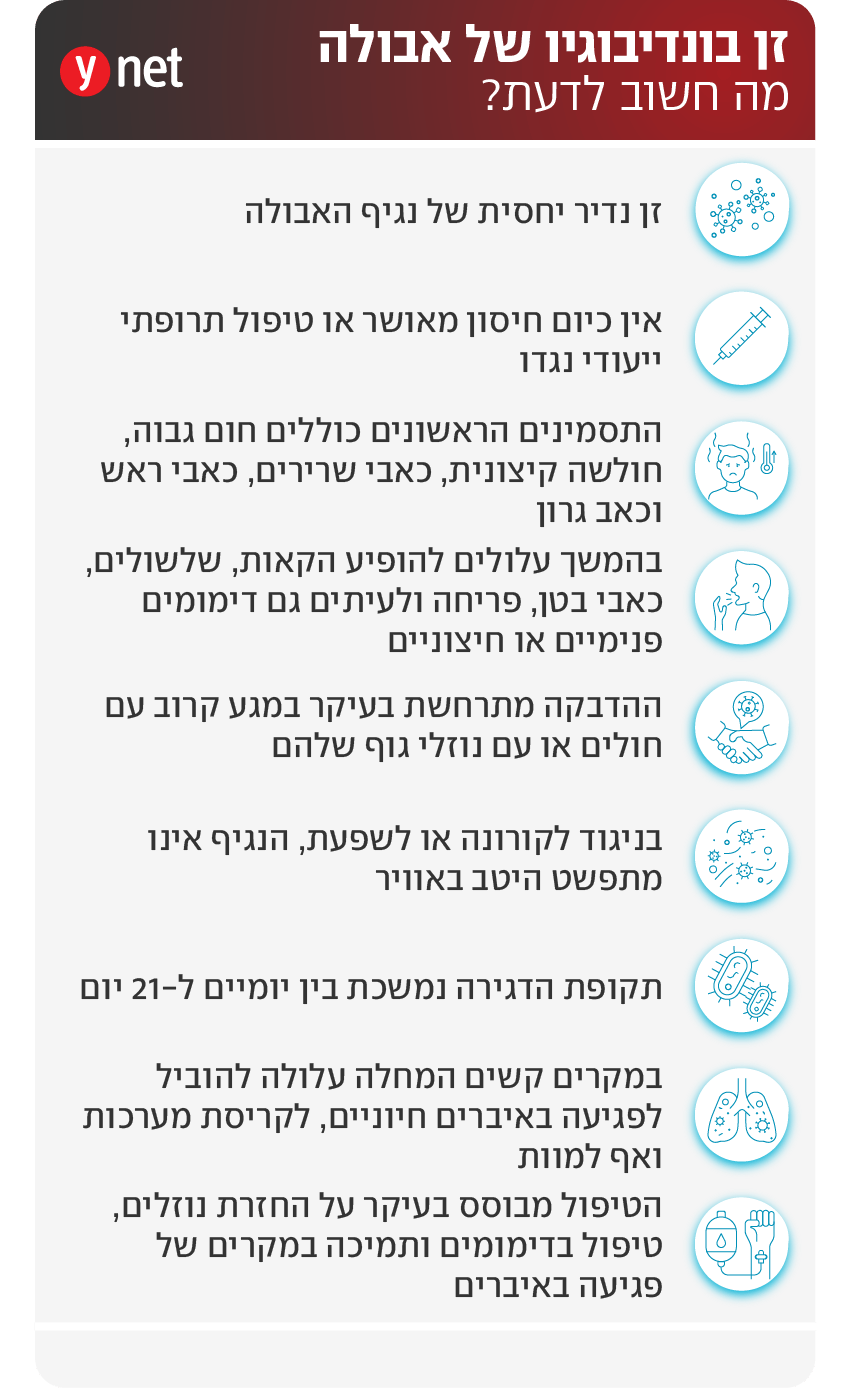 אינפו אבולה