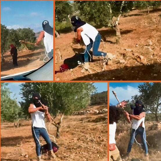 תקיפת עפאף אבו עליא ליד רמאללה באוקטובר האחרון תקיפת עפאף אבו עליא ליד רמאללה באוקטובר האחרון