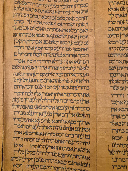 צילום: איציק בירן