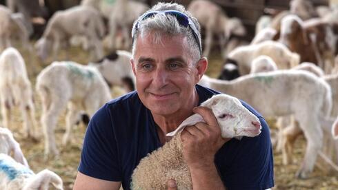 Milking under fire: Israel’s boutique dairies face a bitter Shavuot