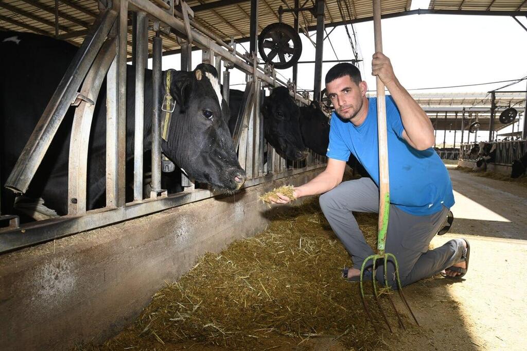 "הדבר הכי קשה היום הוא שהמדינה שכחה שחקלאות זה ערך ודרך חיים". יאיר בלברמן (צילום: הרצל יוסף) יאיר בלברמן, ממשיך את אביו הרפתן, ועובד ברפת בקיבוץ ניר יצחק