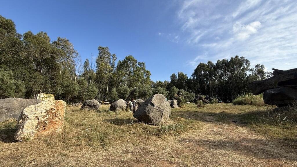 יער האפשרויות (צילום: ספיר גורדו) יער אפשרויות
