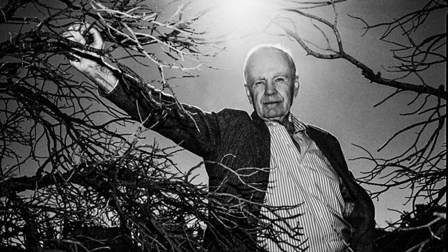קורמאק מקארתי | צילום: ג'ים הרינגטון (ג'ים הרינגטון) קורמאק מקארתי | צילום: ג'ים הרינגטון