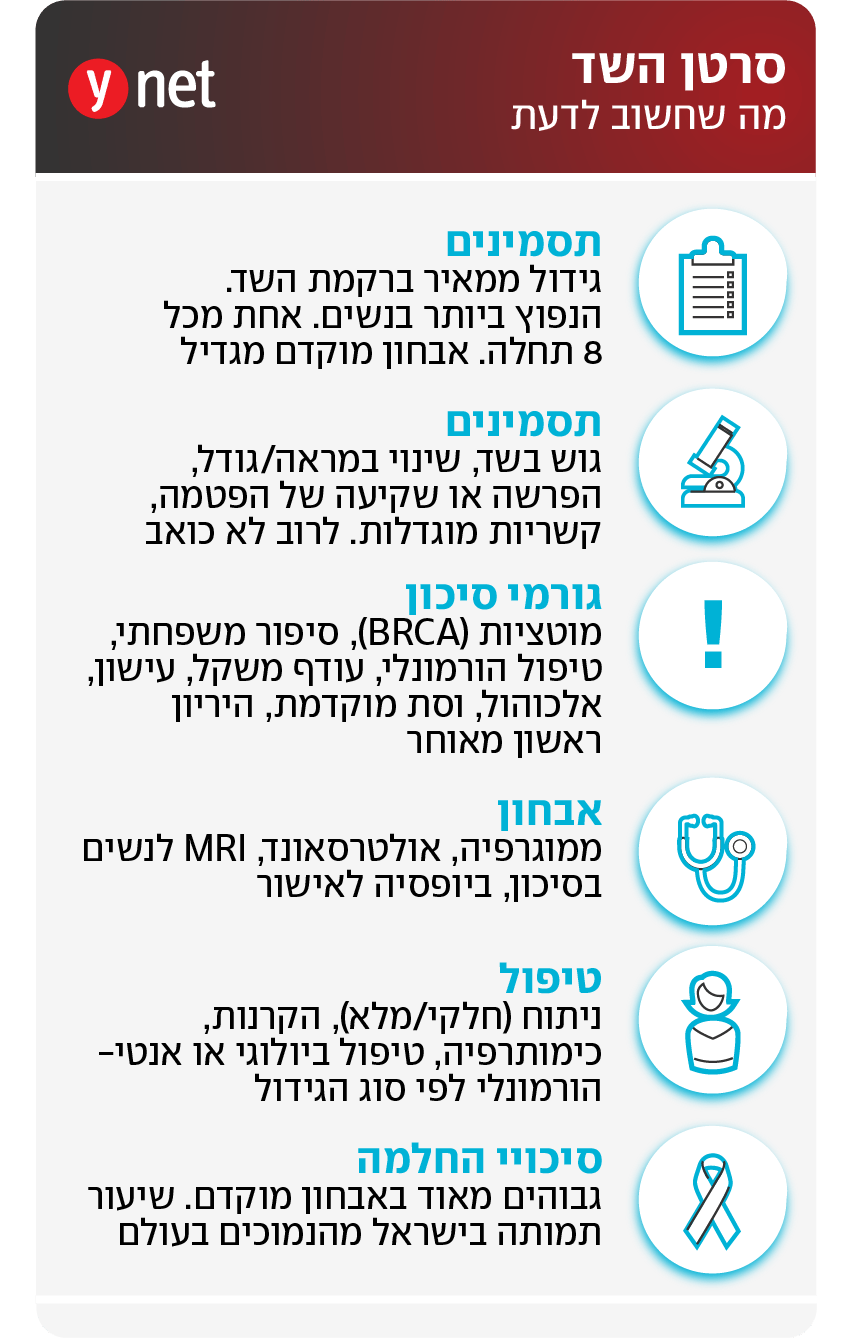 אינפו סרטן השד אינפו סרטן השד