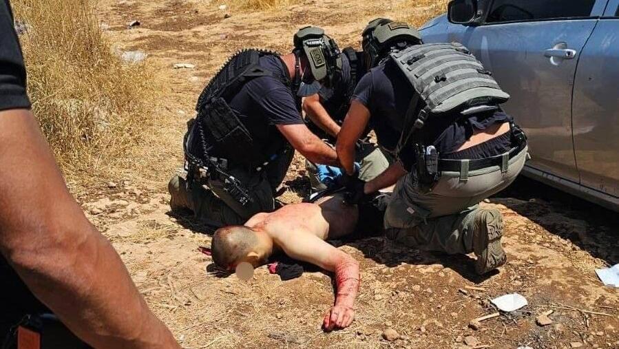המחבל המנוטרל (צילום: שימוש לפי סעיף 27א' בחוק זכויות יוצרים) מחבל שנוטרל