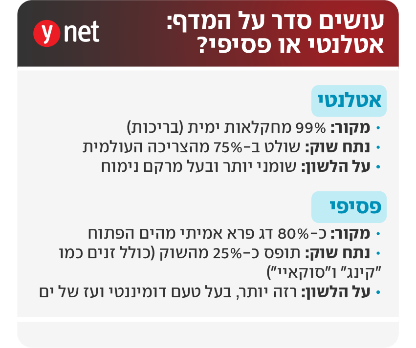 דג סלמון (ynet) דג סלמון