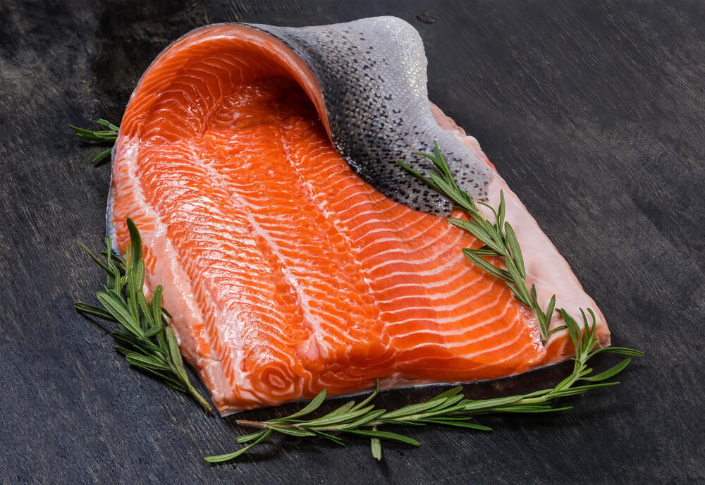 דג פורל - טרוטת עין הקשת (צילום: anmbph / shutterstock) דג פורל - טרוטת עין הקשת