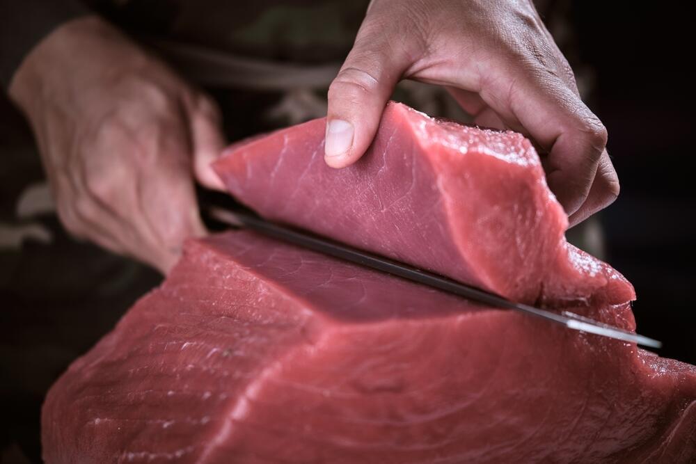 צריך לבחור את הסוג הנכון. טונה (צילום: ADDICTIVE STOCK / shutterstock) דג טונה כחולת ספיר
