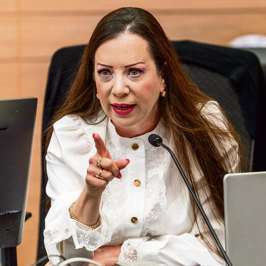 ח"כ גוטליב (שלו שלום) ח"כ גוטליב