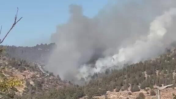 עשרות צוותי כיבוי ו-6 מטוסים הוזנקו: שריפת יער משתוללת בהרי ירושלים