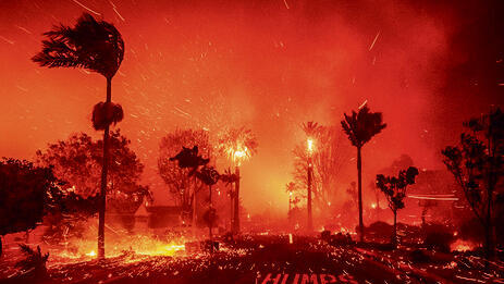 שריפות בלוס אנג'לס | צילום: AFP (Ethan Swope, AP) שריפות בלוס אנג'לס | צילום: AFP